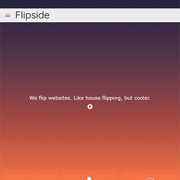 'Flipside' website